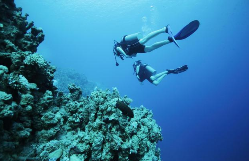 混凝土脫模劑正常用啥